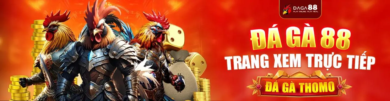 Chính sách Cá cược có trách nhiệm của Win55 Plataforma